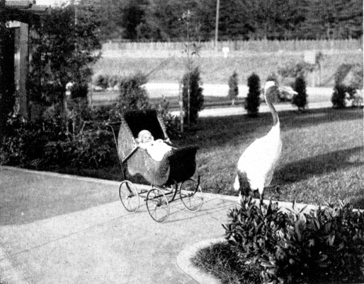 stork and baby carriage p.14